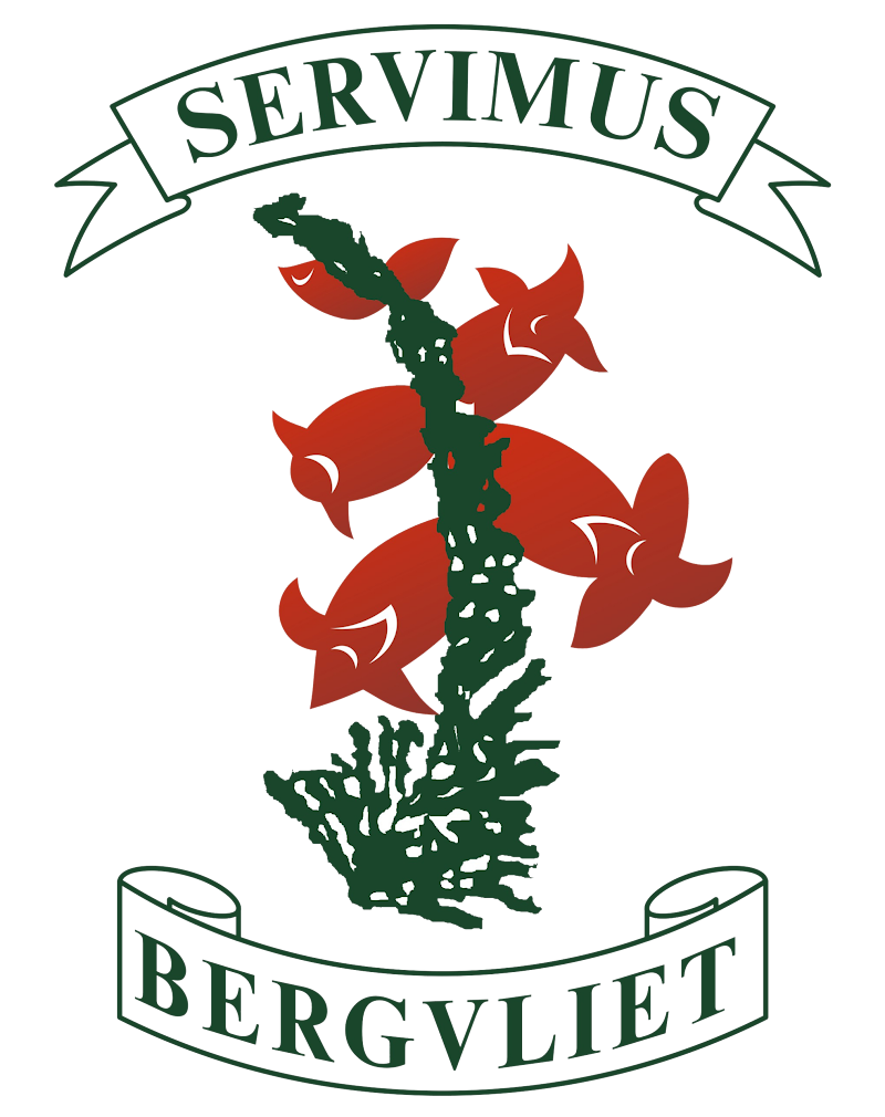 Bergvliet Primary School logo