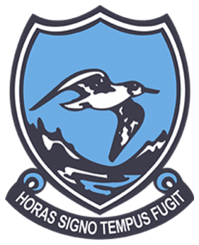 Hermanus High School logo
